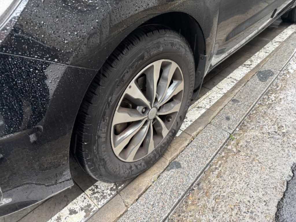 KIA Carnival - Vista 3