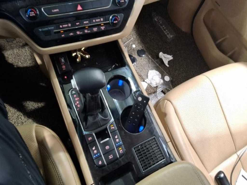 KIA Carnival - Vista 9