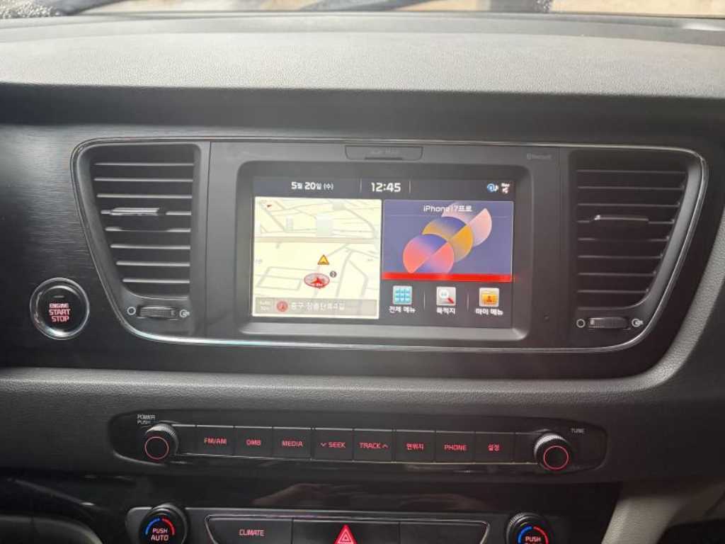 KIA Carnival - Vista 12