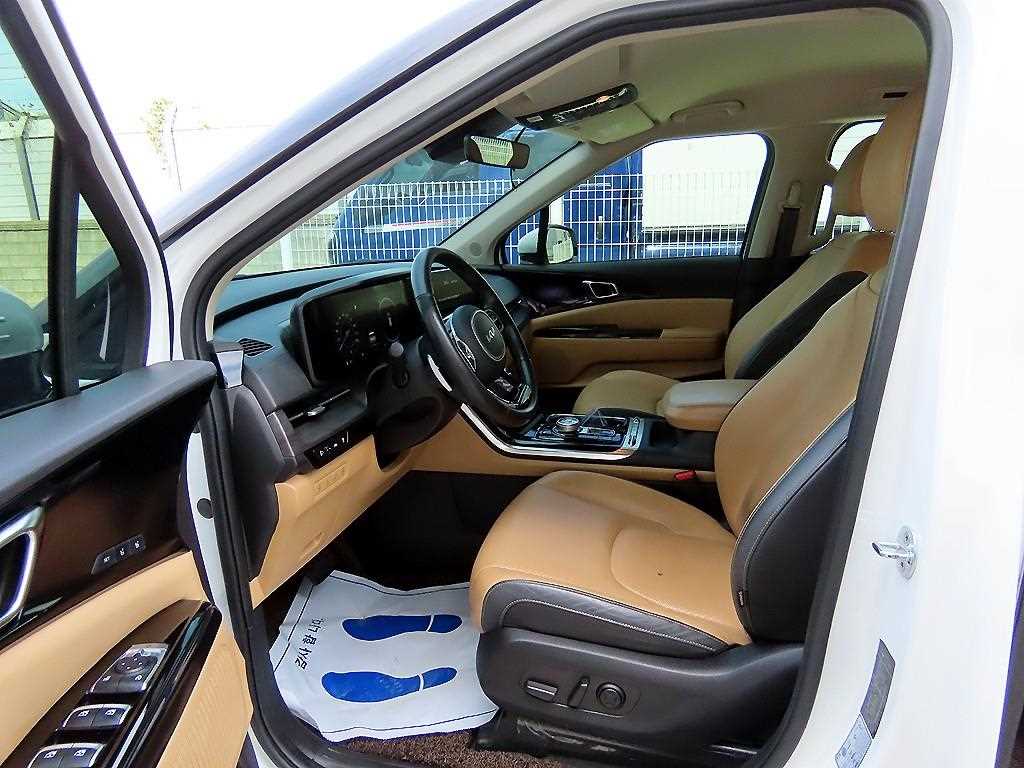 KIA Carnival - Vista 5