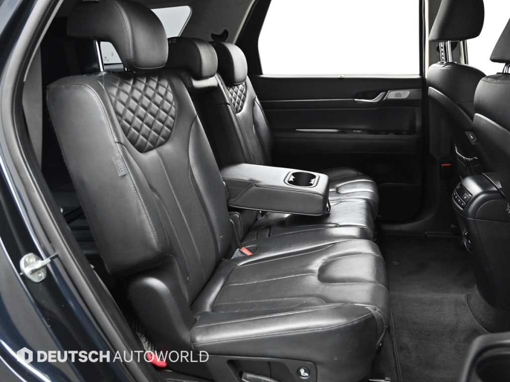 HYUNDAI Palisade - Vista 12