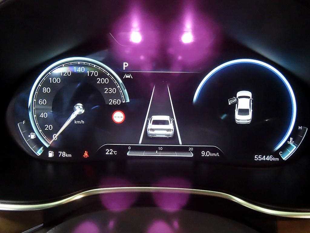 Genesis G80 - Vista 9