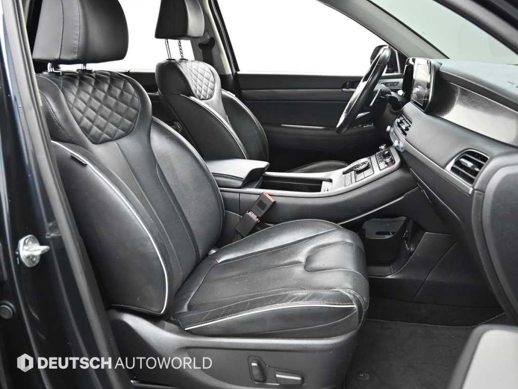 HYUNDAI Palisade - Vista 10