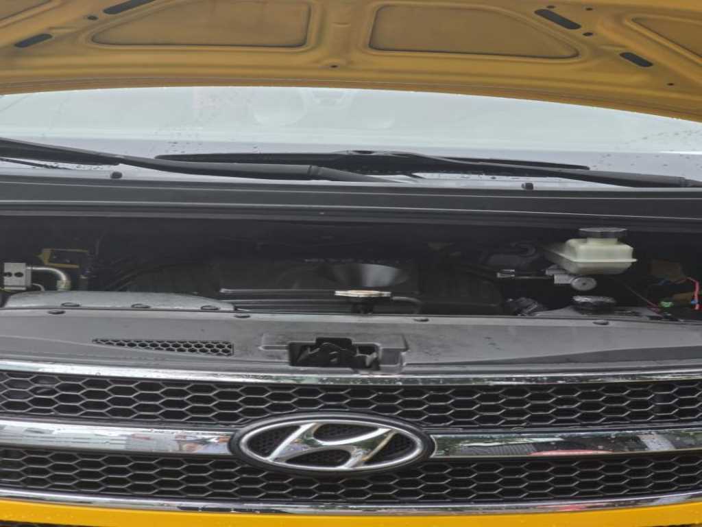 HYUNDAI Starex - Vista 6