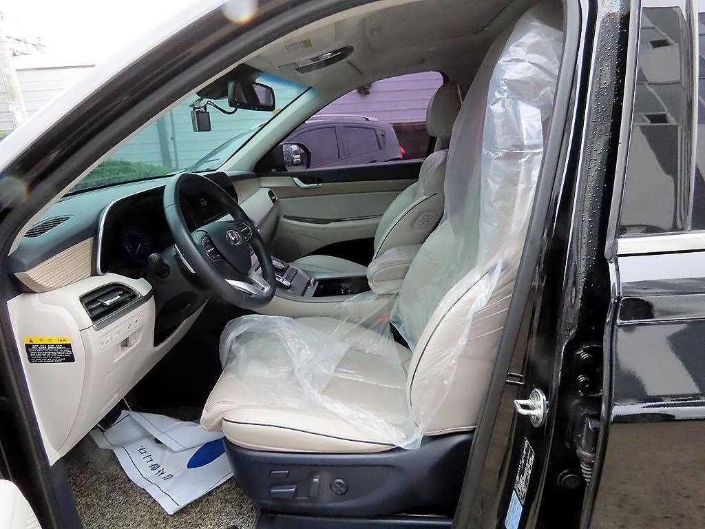 HYUNDAI Palisade - Vista 6