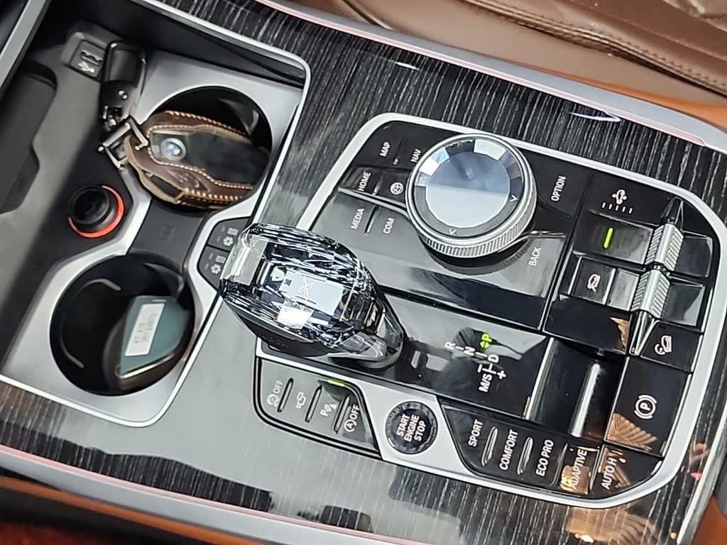 BMW X7 - Vista 8