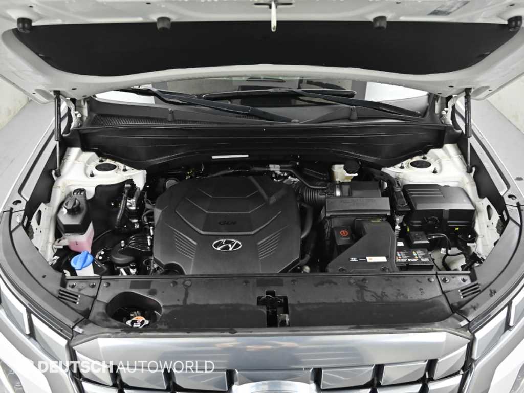 HYUNDAI Palisade - Vista 6