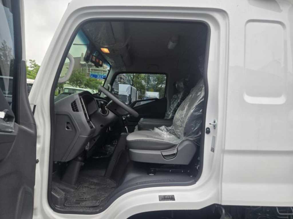 medium and large cargo truck - Vista 10