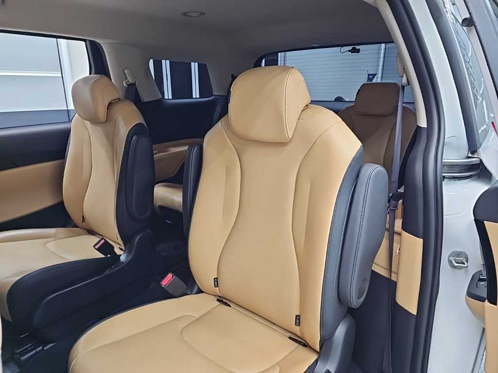 KIA Carnival - Vista 12
