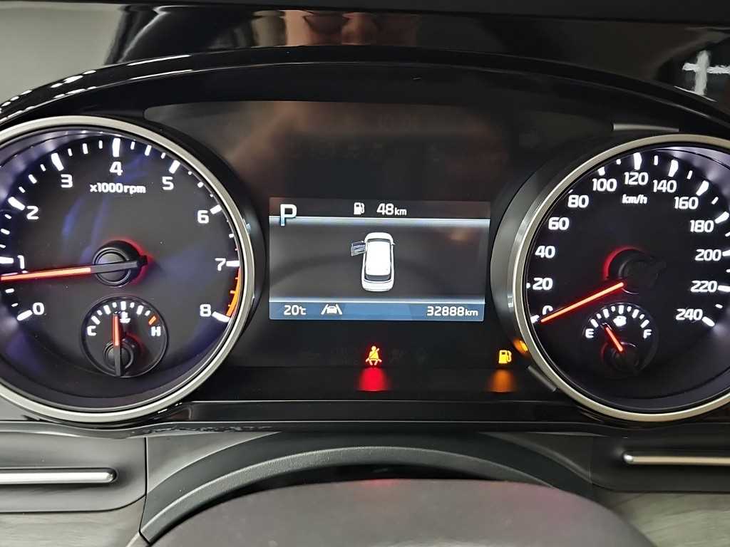 KIA Carnival - Vista 6