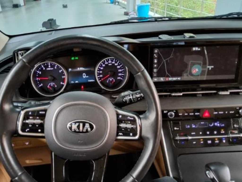 KIA Carnival - Vista 3