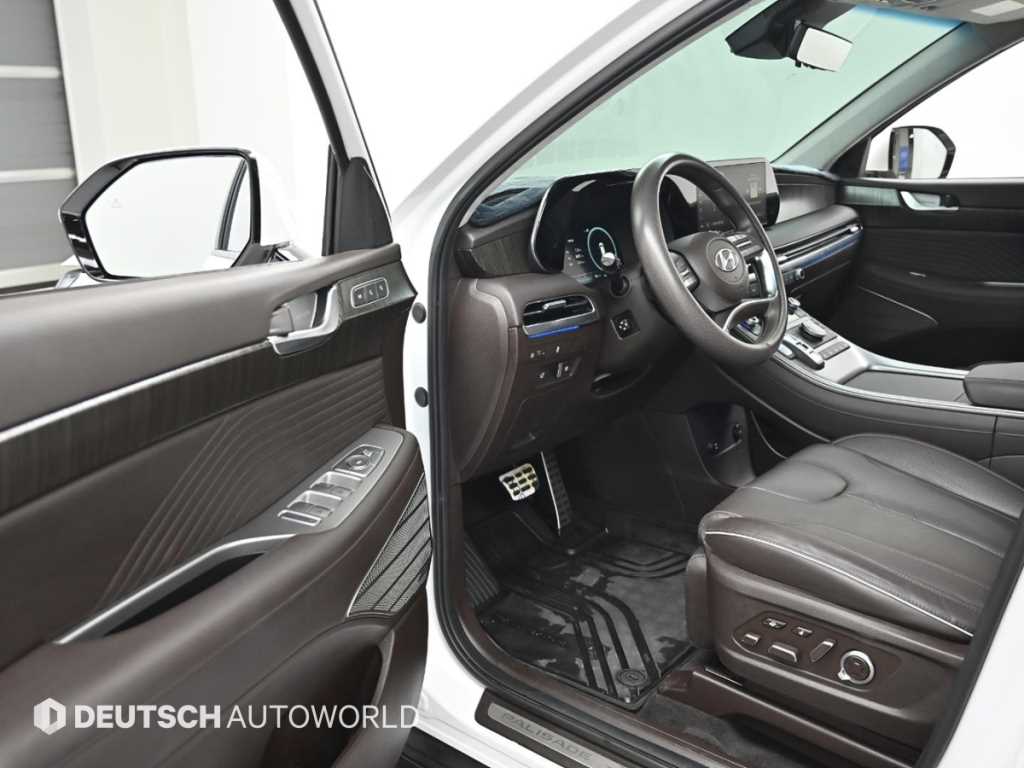 HYUNDAI Palisade - Vista 11