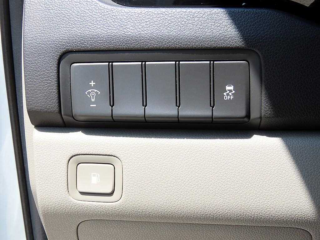 KIA Carnival - Vista 11