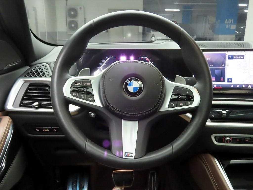 BMW X6 - Vista 8