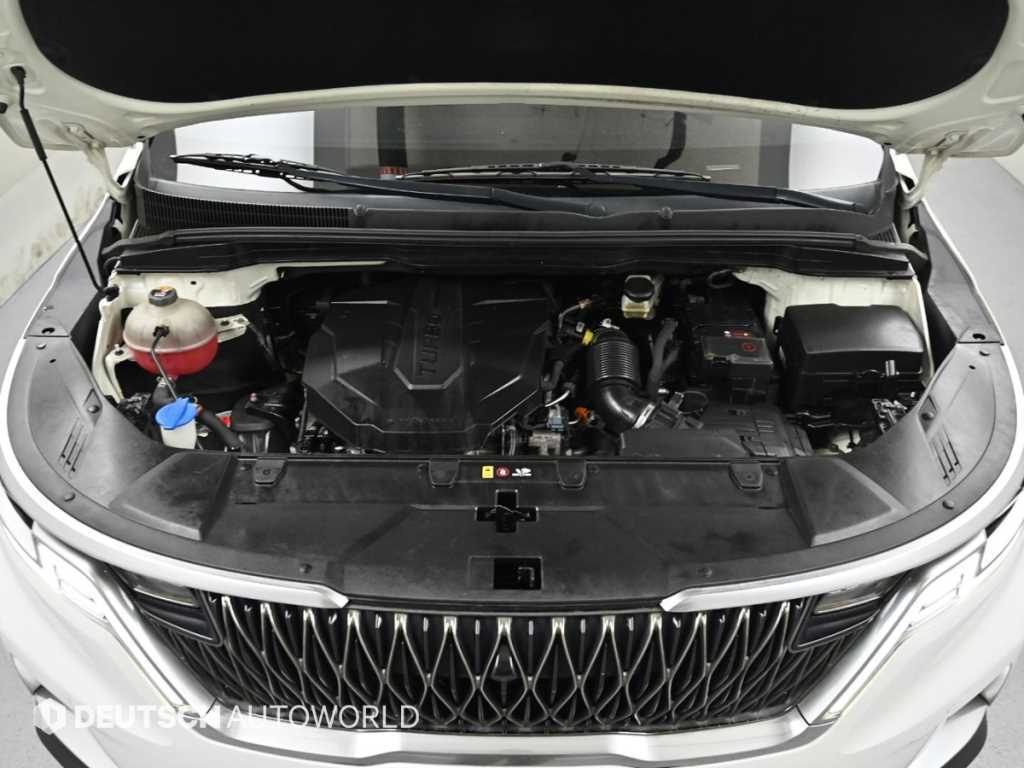 KIA Carnival - Vista 6