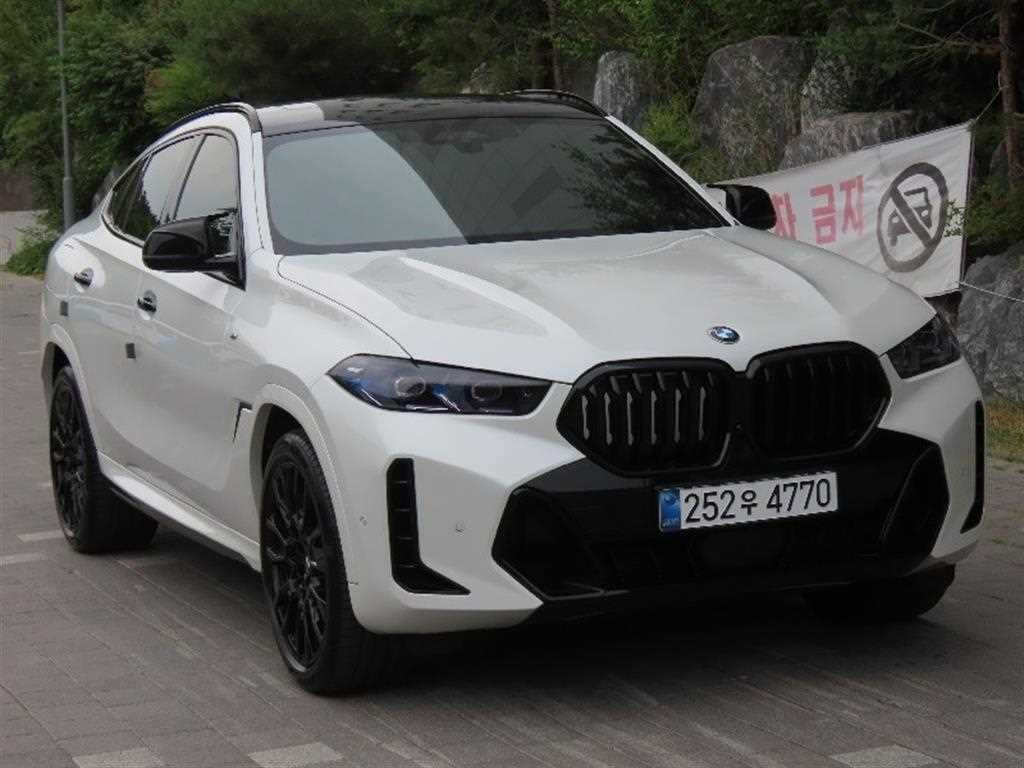 BMW X6 - Vista 2