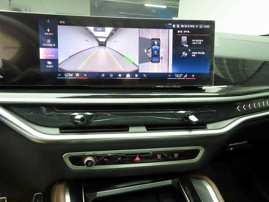 BMW X6 - Vista 10