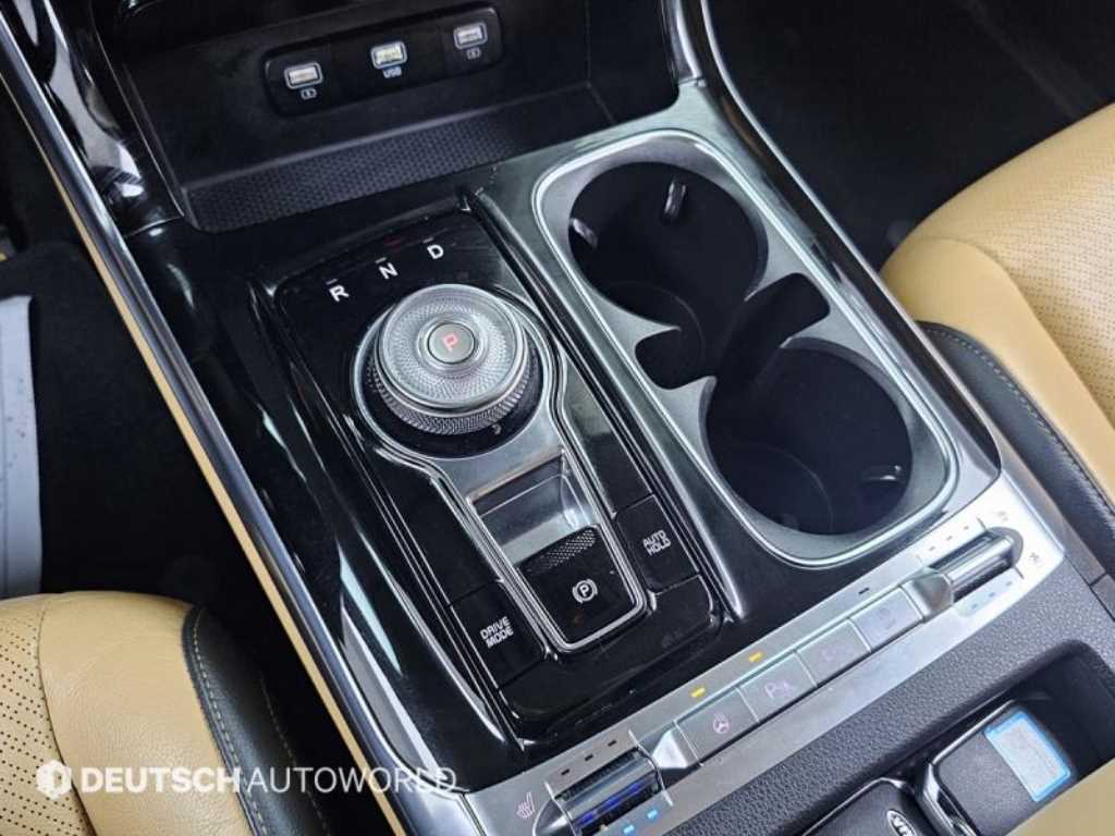 KIA Carnival - Vista 9