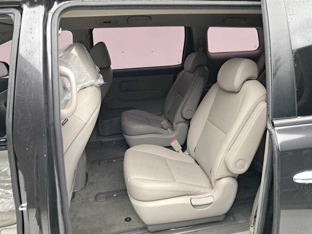 KIA Carnival - Vista 12