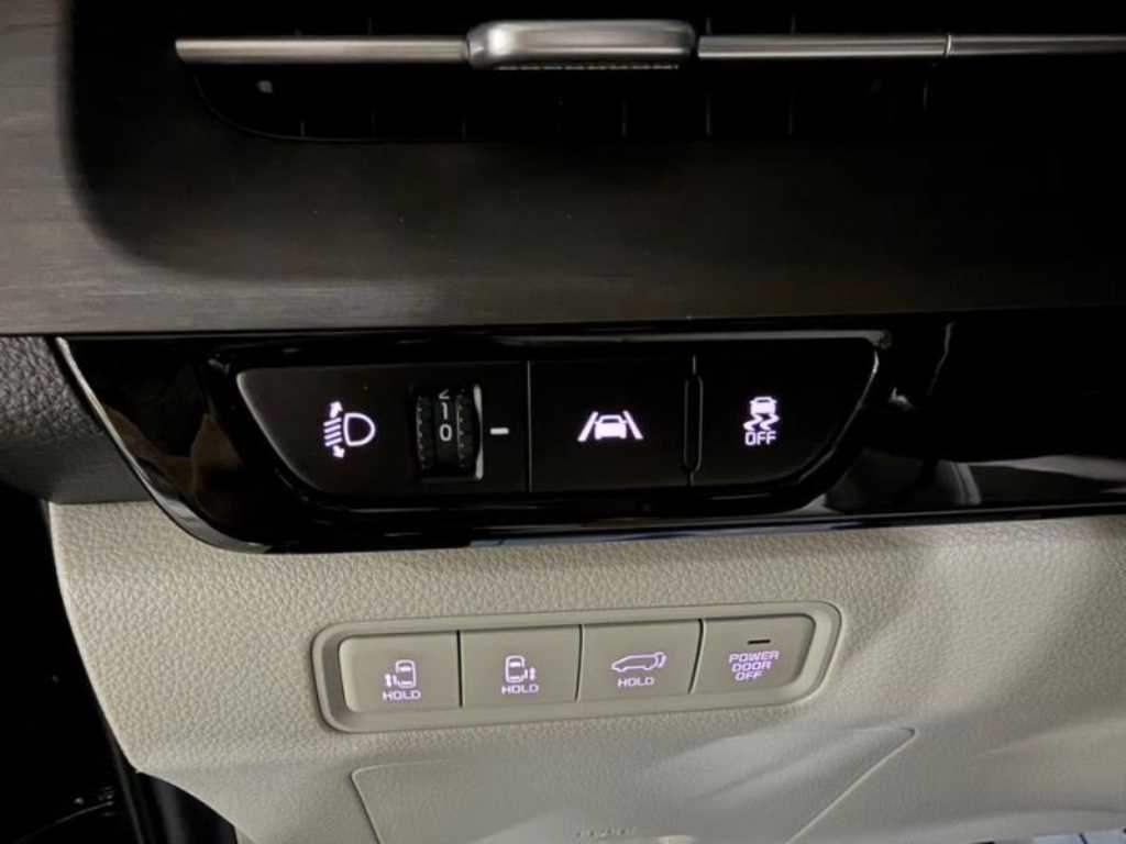 KIA Carnival - Vista 12