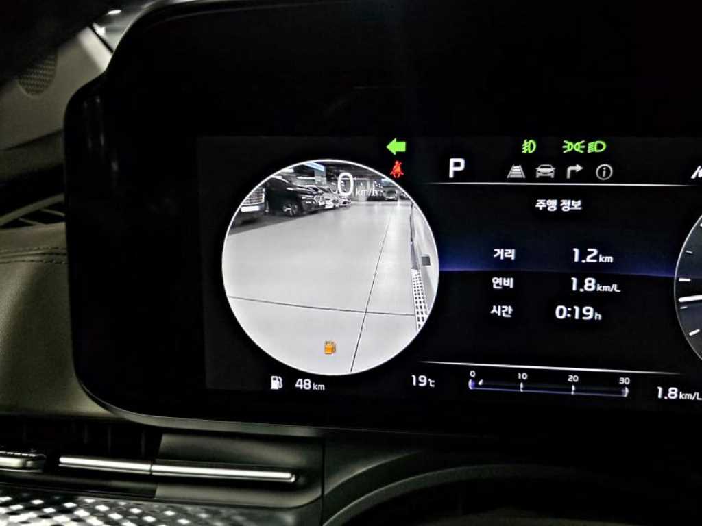 KIA Carnival - Vista 12