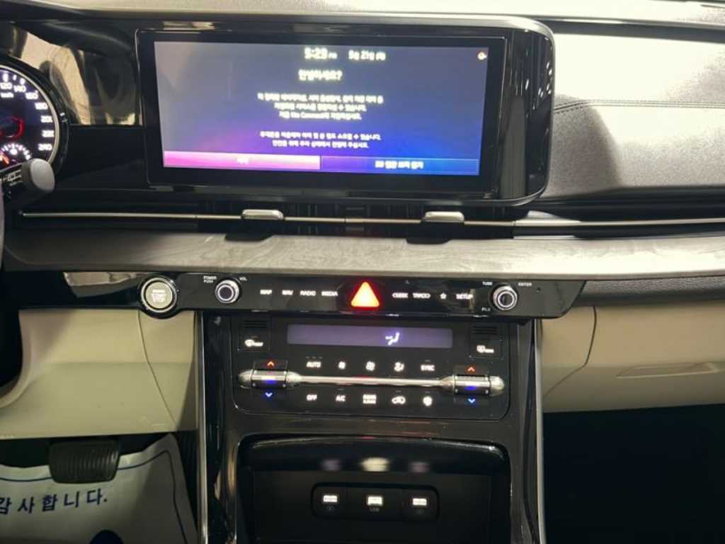KIA Carnival - Vista 9