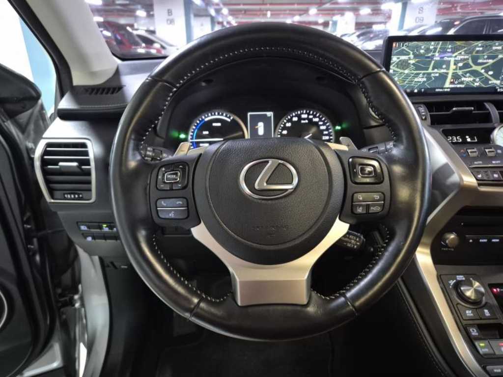 Lexus NX - Vista 12