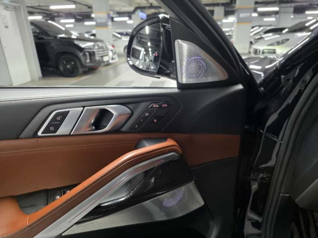 BMW X6 - Vista 10