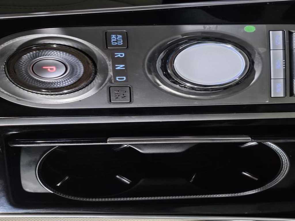 Genesis GV80 - Vista 12