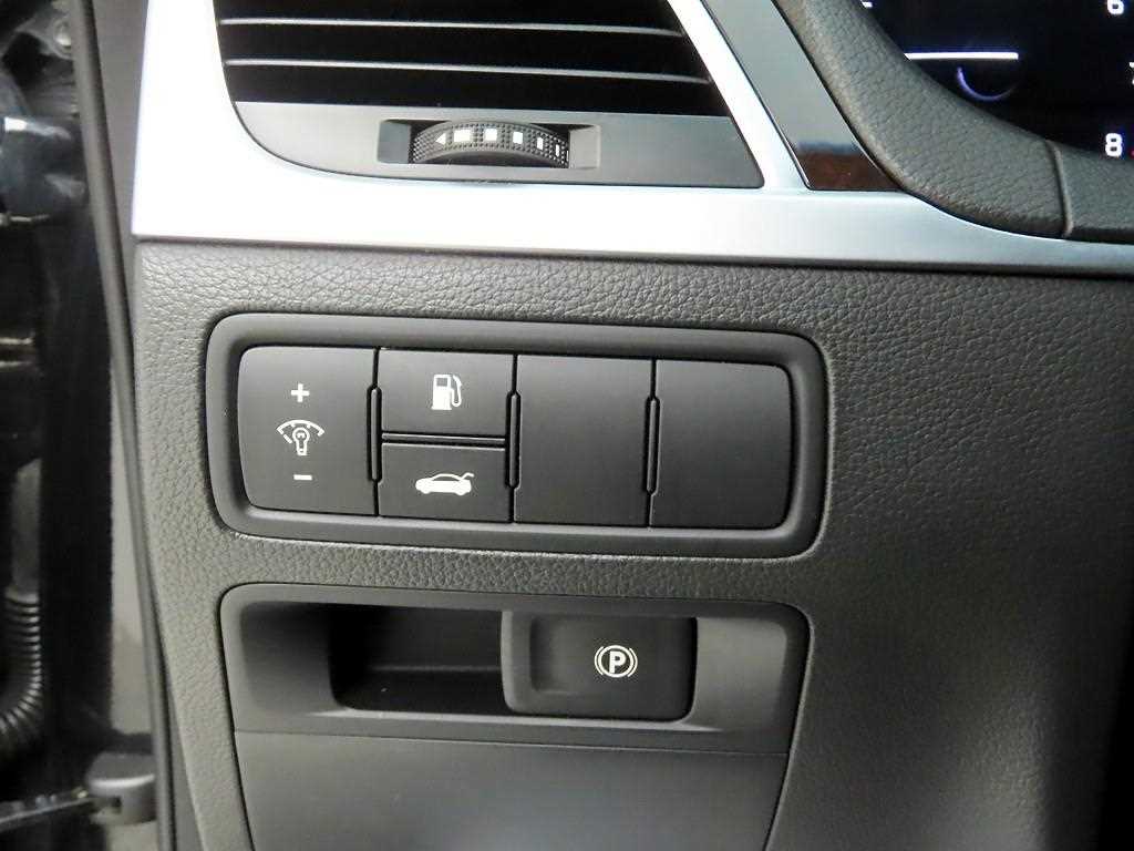 HYUNDAI Genesis - Vista 12