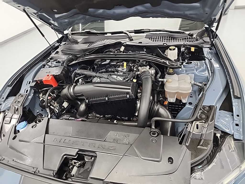 Ford Mustang - Vista 5
