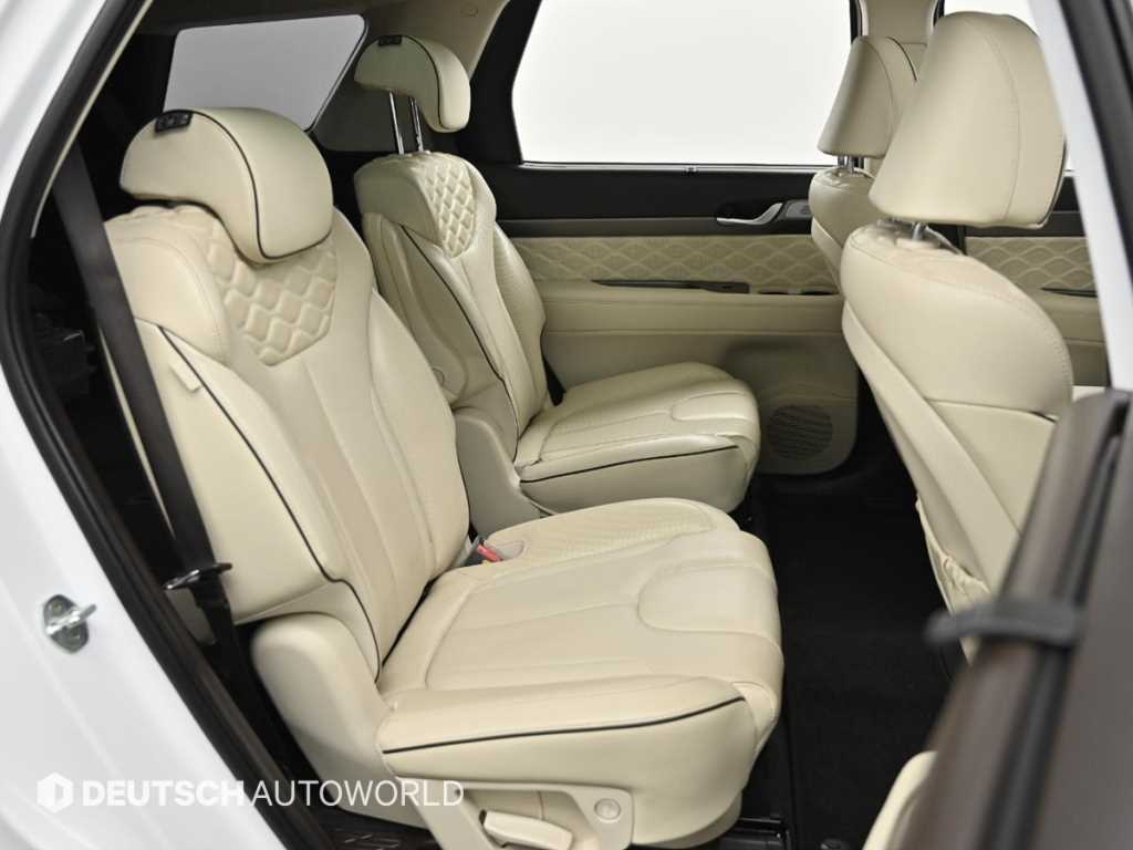 HYUNDAI Palisade - Vista 12