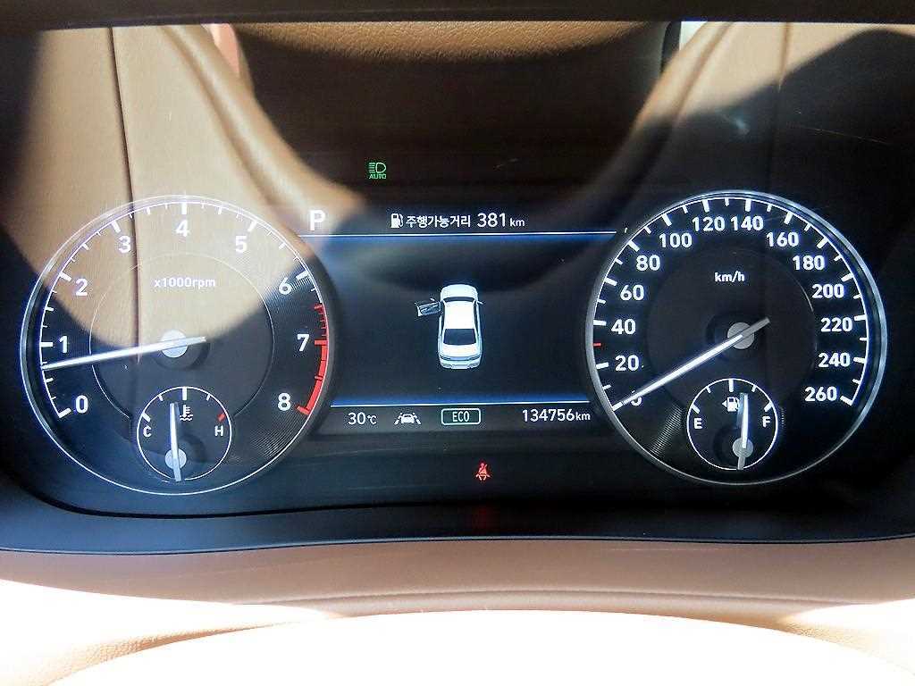 Genesis G90 - Vista 10