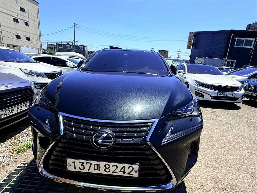 Lexus NX - Vista 10