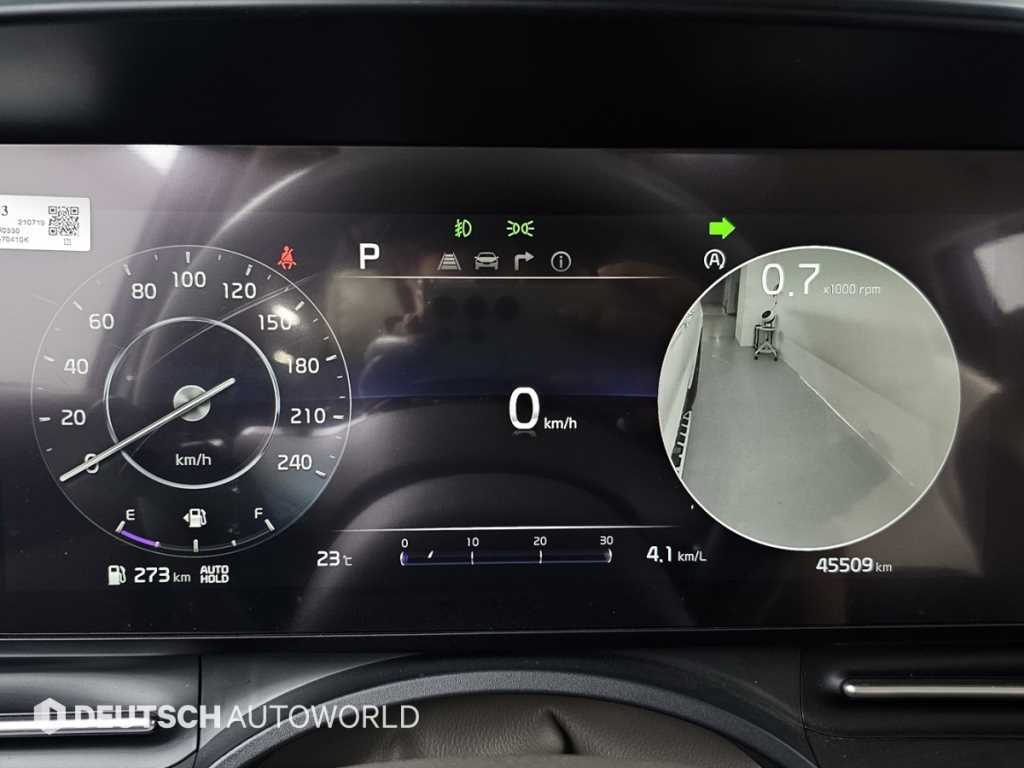 KIA Carnival - Vista 8
