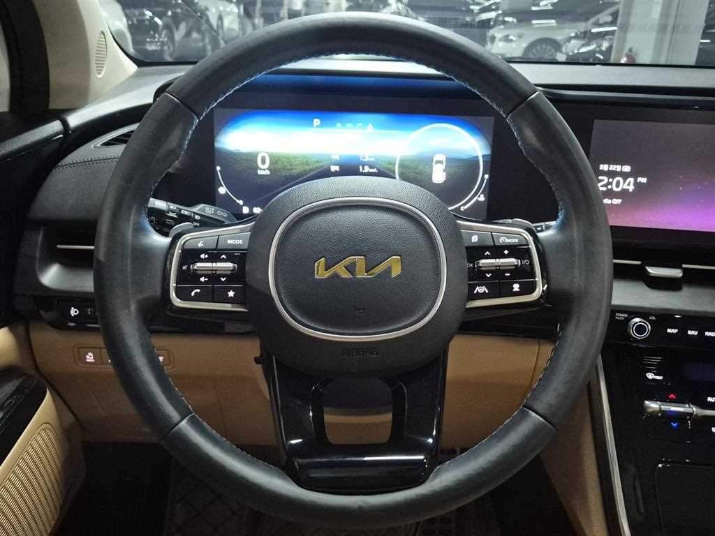 KIA Carnival - Vista 10