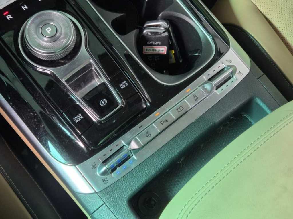 KIA Carnival - Vista 8