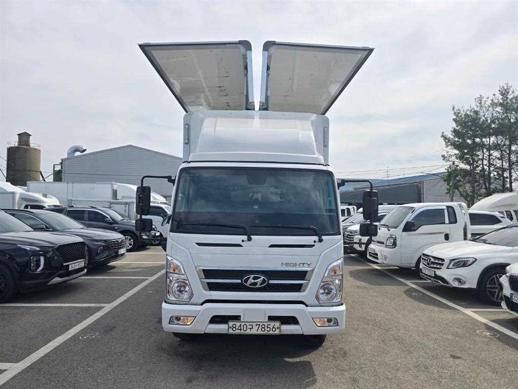 medium and large cargo truck - Vista 8