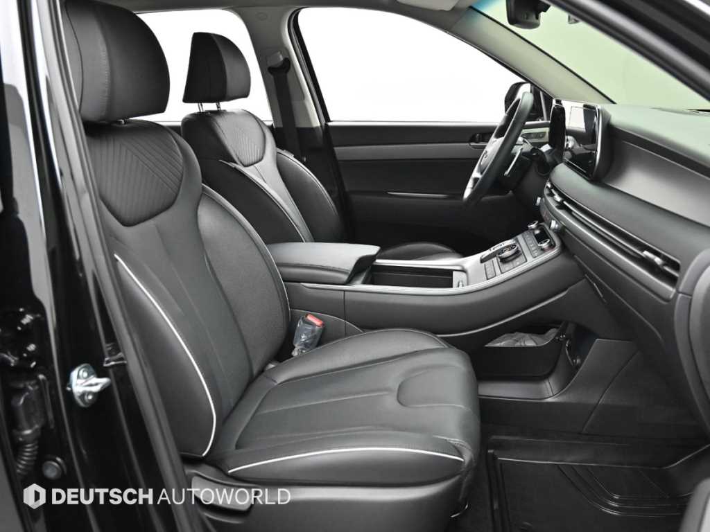 HYUNDAI Palisade - Vista 10