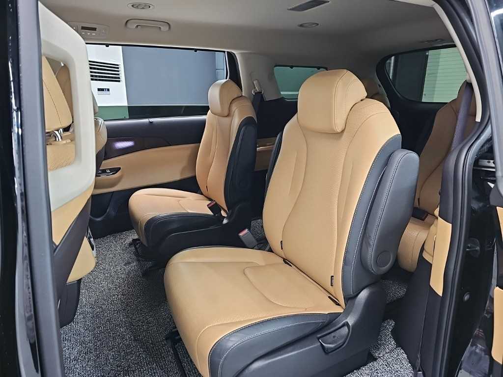 KIA Carnival - Vista 12