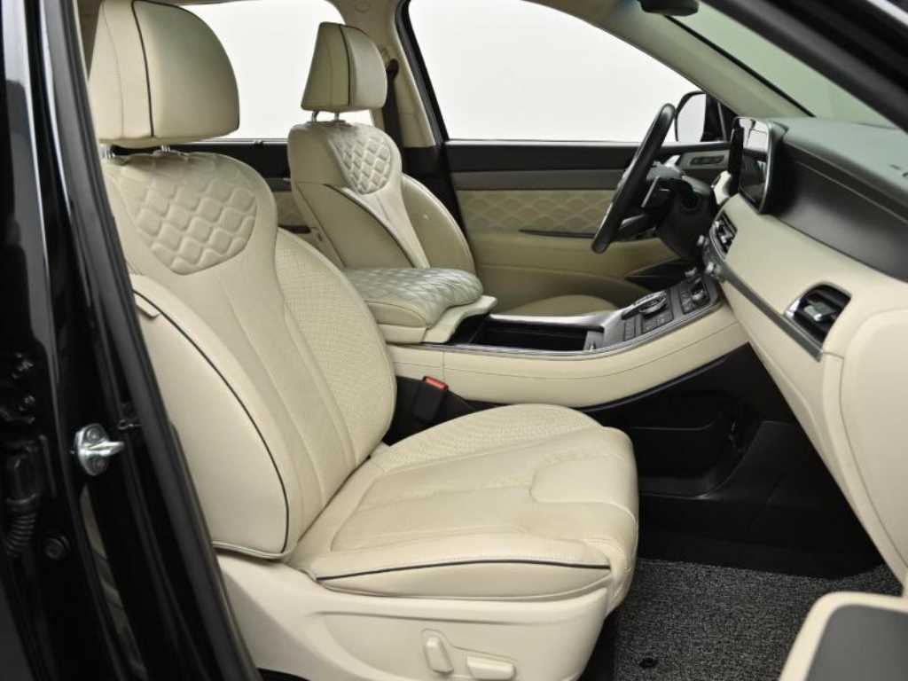 HYUNDAI Palisade - Vista 10