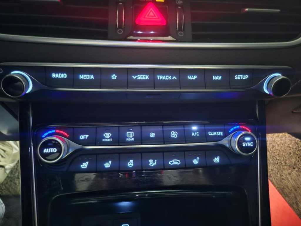 HYUNDAI Grandeur - Vista 10