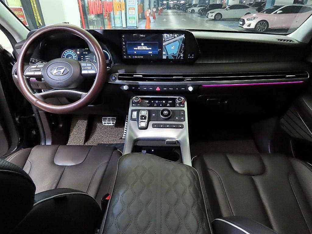 HYUNDAI Palisade - Vista 10