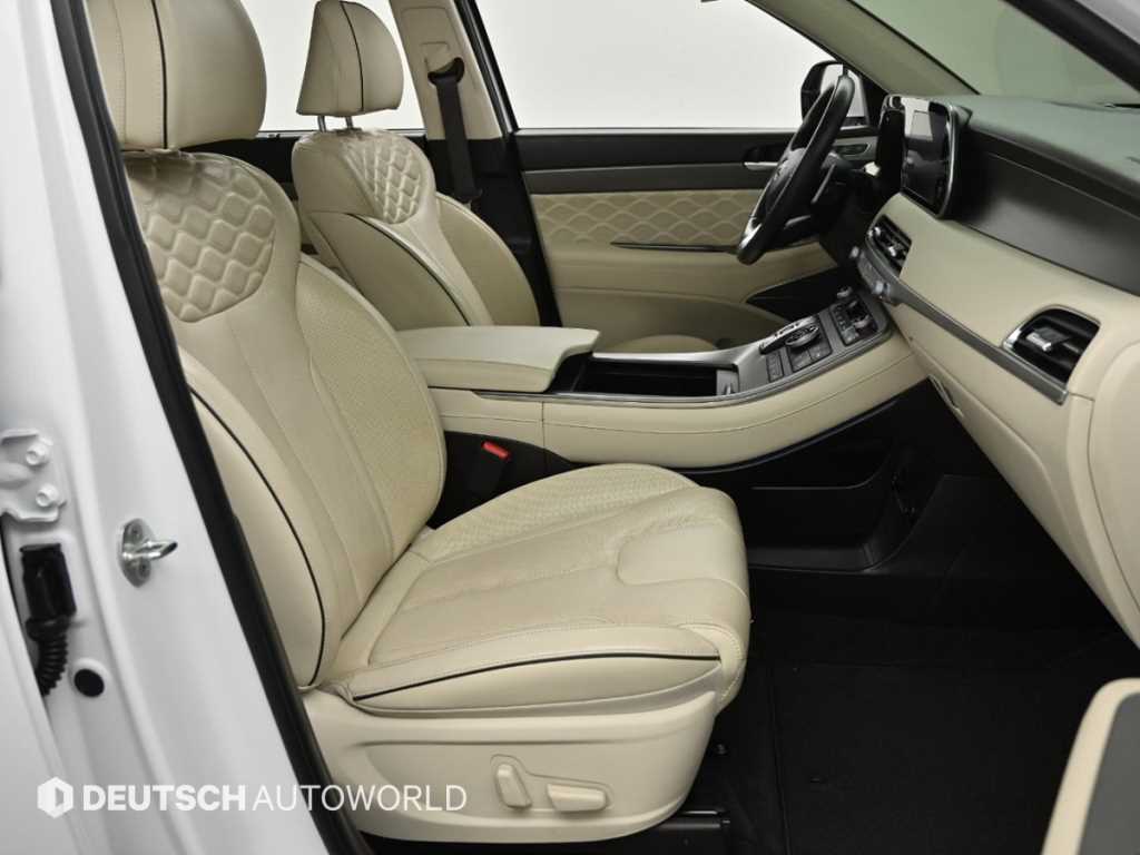 HYUNDAI Palisade - Vista 10