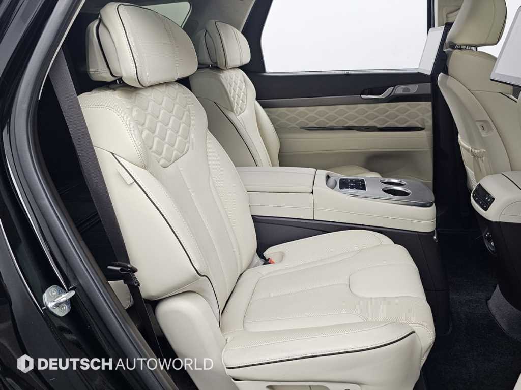 HYUNDAI Palisade - Vista 12