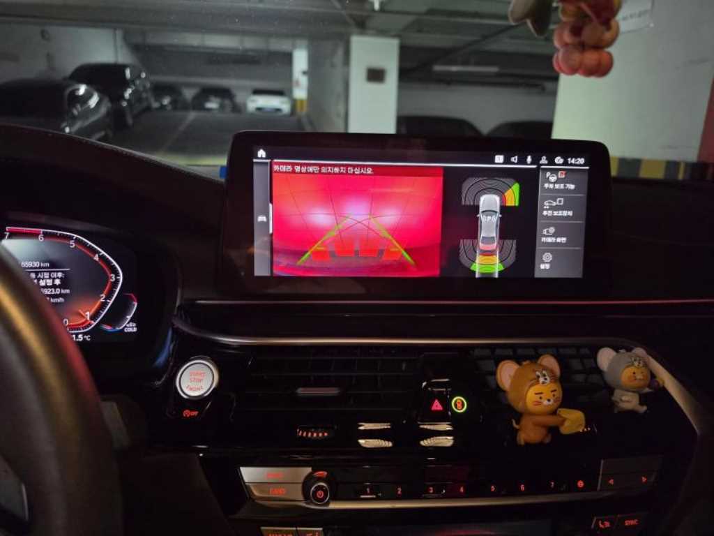 BMW 5 Series - Vista 9