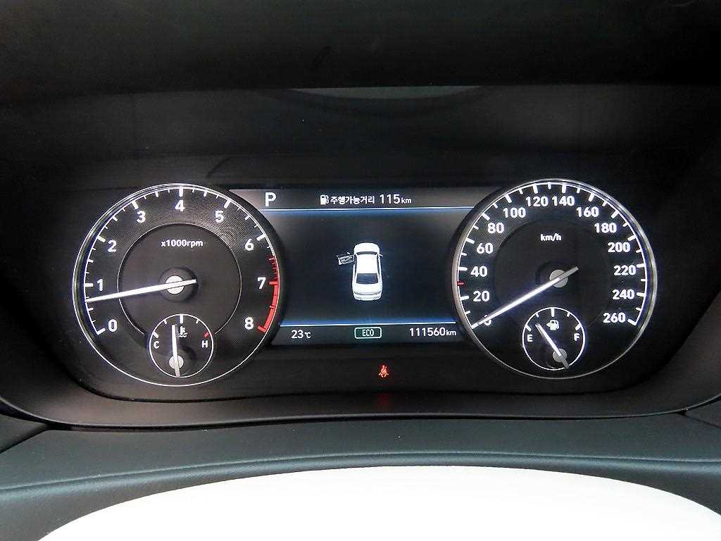 Genesis G90 - Vista 9