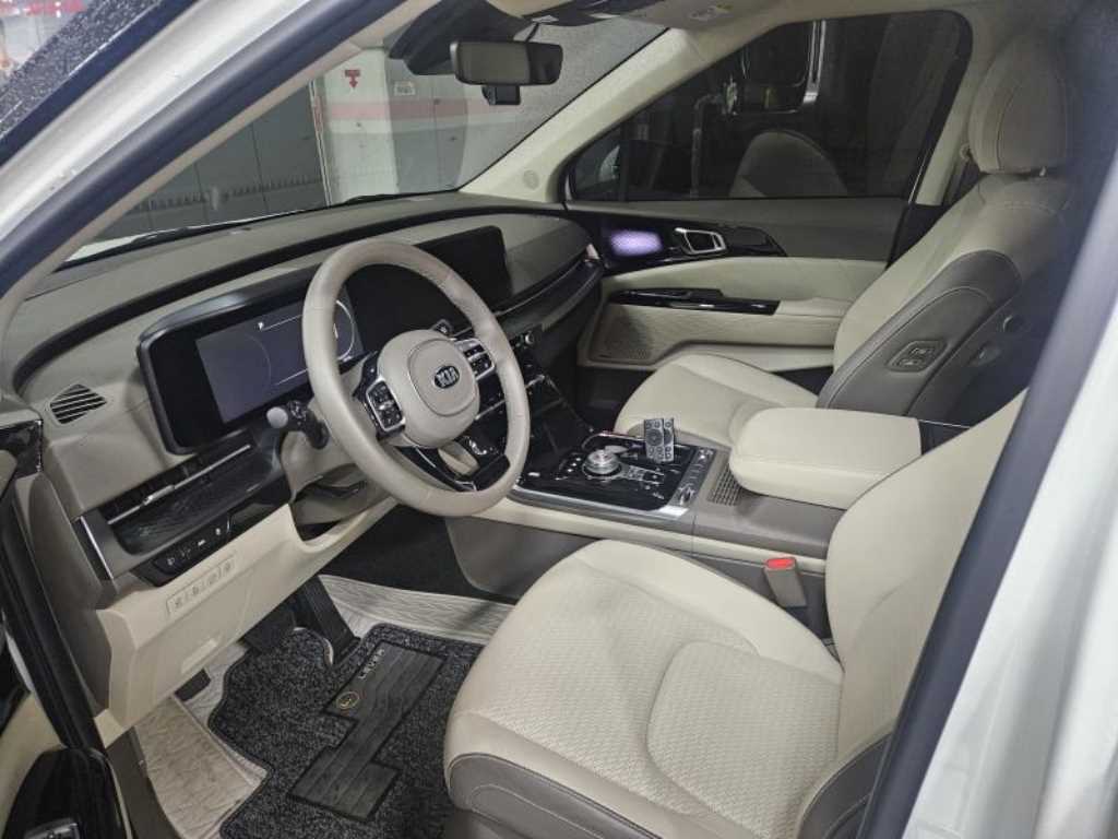 KIA Carnival - Vista 4