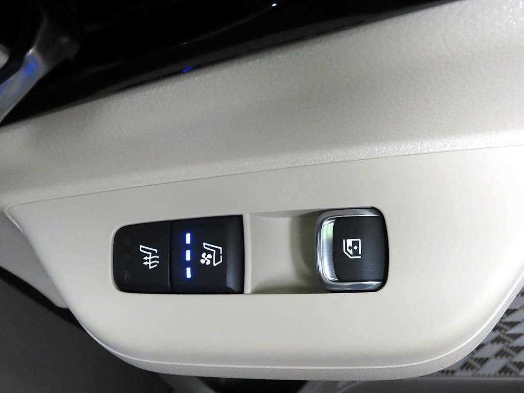 KIA Carnival - Vista 12