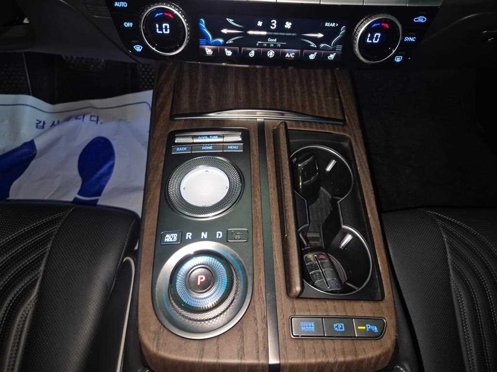 Genesis G80 - Vista 10